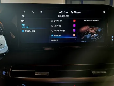 부산 진구 / 엠비언트 / 현대 / 팰리세이드