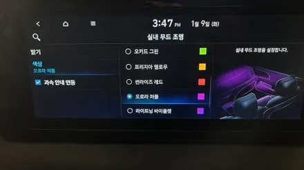이것이 진짜 순정 퀄리티!!  부산 팰리세이드 엠비언트 잘하는곳!! / 부산 진구 양정동