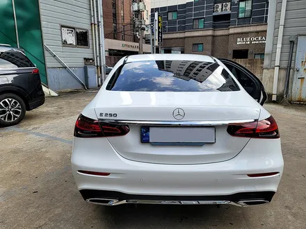 벤츠 E250 화이트 신차 유리막코팅으로 확실한 외장관리 / 벤츠 / E-클래스 / 부산 진구
