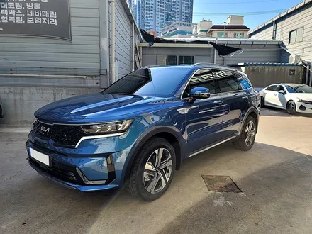 쏘렌토 동호회에서 찾아와주신 SORENTO 신차패키지 / 부산 진구