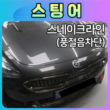 스팅어 스네이크라인(웨더스트립) 풍절음 차단하시고 편하게 주행하세요. / 서울 중랑구