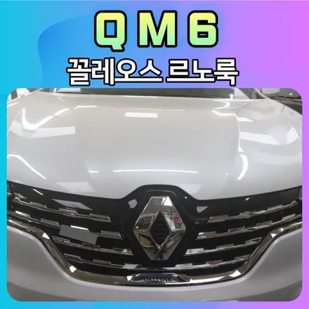 QM6 꼴레오스르노룩 작업으로 외관도 르노마크 감성으로 변신했습니다 / 서울 중랑구