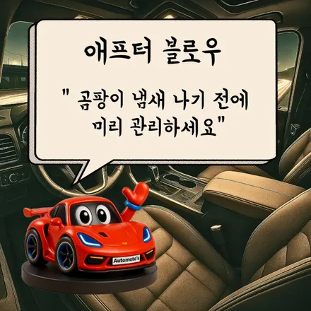르노 필랑트 그랑콜레오스 차량에 추천드리는 인기튜닝 TOP7 [서울자동차튜닝 아우토모토스] / 서울 중랑구