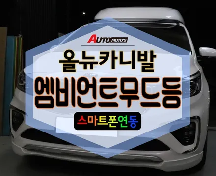 ★자동차튜닝★올뉴카니발무드등[스마트폰연동]작업으로 분위기 변신^^야간드라이브시너무예뻐요^^[서울튜닝/국산차 수입차튜닝전문점]§§아우토모토스§§ / 서울 중랑구