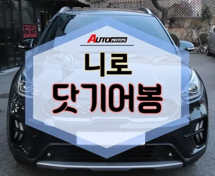 ★자동차튜닝★니로 닷기어봉으로 그립감 최고 !! 주행의 질이 높아졌어요^^♡[서울튜닝/국산차 수입차튜닝전문점]§§아우토모토스§§ / 서울 중랑구