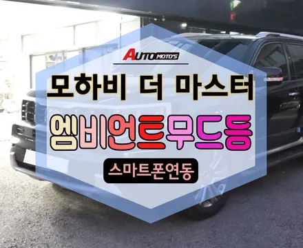 ★자동차튜닝★모하비더마스터 엠비언트 무드등[운전석+조수석+도어1열2열+풋등]고급지고 분위기깡패!!너무멋지네요^^ [서울튜닝/국산차 수입차튜닝전문점]§§아우토모토스§§ / 서울 중랑구