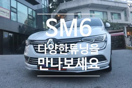 SM6 1열엠비언트무드등[S링크연동] & 블로우매니져[에어컨습기제거] & BMW컵홀더 설치 ▶ 내차에 필요한 튜닝작업했습니다 ^^ / 서울 중랑구
