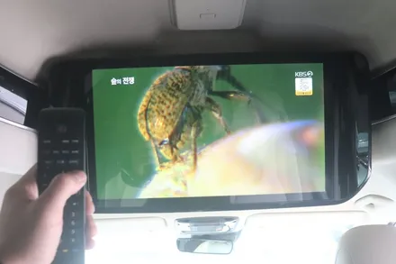 카니발KA4  스카이라이프 설치로 내차에 힐링아이템 장착을 하였습니다[서울자동차튜닝 전문점] / 서울 중랑구