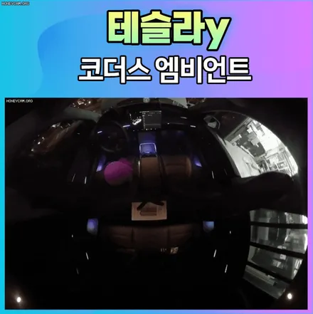 테슬라y 코더스엠비언트 듀얼라인시공으로 드라이브감성 제대로 살아닙니다. / 서울 중랑구