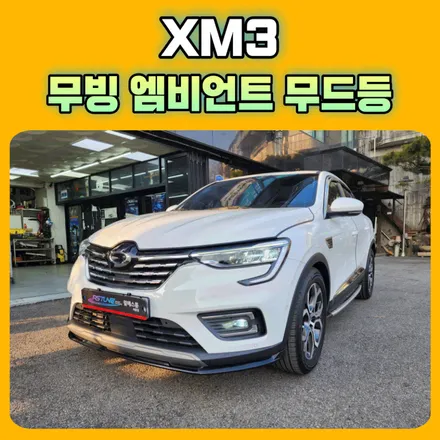 엠비언트무드등 끝판왕!! xm3 작업후기 서울자동차튜닝 아우토모토스 / 서울 중랑구