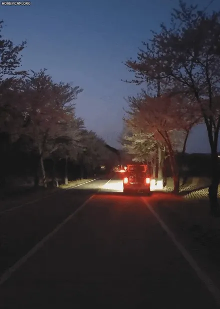캐스퍼 \