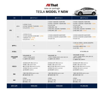 테슬라 썬팅 프라이버시와 열차단, 비주얼, 지갑까지 다 잡아요 / 천안시 업성동
