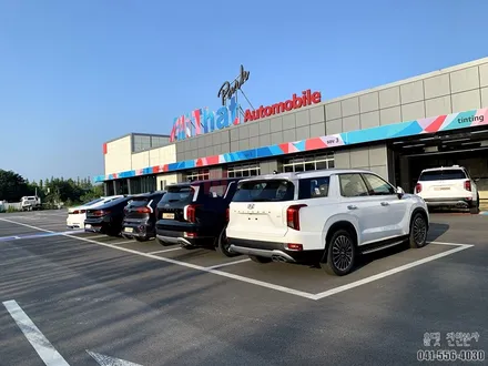 팰리세이드 2020년형 노리실지언정, 여러분이 아셔야할 곳 이곳 / 천안시 업성동