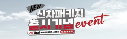 4세대 카니발 틴큐브 썬팅 후 PPF 튜닝까지 한 방에 해결했어요 / 천안시 업성동