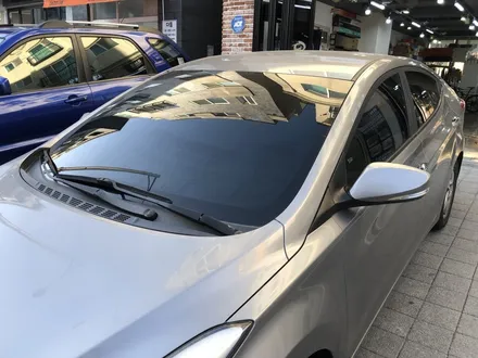 봄맞이 인천 썬팅 새롭게 산뜻하게 시작합니다.