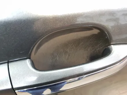 에쿠스 일산 유리막코팅 시공으로 깊어진 색감! / 부천시 원미구 상동