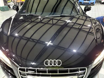 아우디 R8 V10 광택+코팅으로 광빨에 눈이 부시다!! / 부천시 원미구 상동