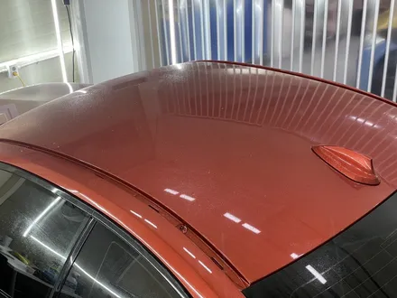 BMW M2 컴페티션 STEK - 카본PPF 루프스킨 시공! [일산파주운정김포PPF] / 부천시 원미구 상동