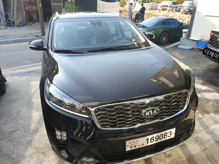 전주 군산 익산 더뉴 쏘렌토 넥스가드 TP300, TT300 시공 / 틴팅도 역시 더제이(THE J) / 전주시 완산구 평화동