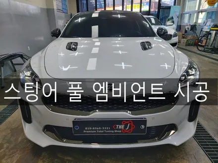 스팅어 풀 RGB엠비언트(대쉬보드, 송풍구, 도어, 풋등) 시공, 전주튜닝샵 더제이 / 전주시 완산구 평화동