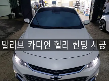 전주 썬팅 전문 더제이에서 말리브 카디언 헬리 썬팅 시공하기 / 전주시 완산구 평화동
