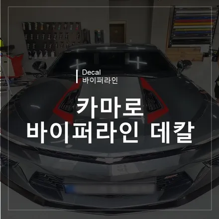 광주랩핑샵 위랩스 <카마로 바이퍼라인 데칼> / 북구 신용동