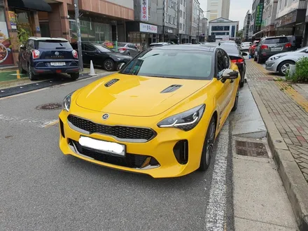 광주랩핑샵 위랩스 <스팅어 다크옐로우 전체랩핑> / 북구 신용동