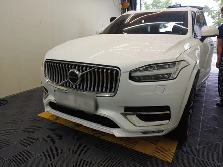 대구유리막코팅, PPF / 볼보 XC90, XC60 / 메딕카케어 / 대구 동구