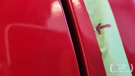 스팅어 마이스터! 신차 패키지 부터 전체 무광 PPF 까지 한번에 시공!(솔라가드 노블레스 Z, 모터스킨 무광 PPF)부산 사하구 하단 녹산 장림 신평 다대포 PPF 맛집 위드랩 / 부산 강서구, 김해, 창원