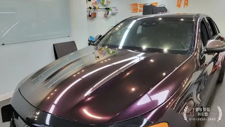 PPF 위에 랩핑 ? E63 AMG 전체 랩핑 시공(AX 젠션 퍼플 AX gentian purple)진해 안골랩핑 부산 사하구 장림 신평 다대포  랩핑 맛집 위드랩 / 부산 강서구, 김해, 창원