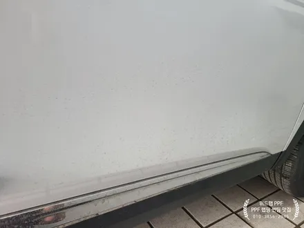 새차 느낌 오래도록~ XM3 유리막 코팅 + 생활보호, 헤드라이트 PPF 시공(파이어볼 신라, 모터스킨 PPF)부산 경남 울산 다대포 장림 녹산 용원 PPF 유리막 맛집 위드랩 / 부산 강서 신호동
