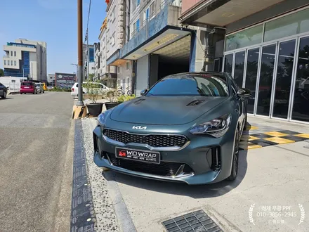 부산 무광 PPF 잘하는 곳 위드랩! 스팅어 에스코트 그린 무광 / 부산 강서구, 김해, 창원