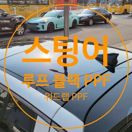 스팅어 루프 블랙 PPF 시공!(모터스킨 블랙 PPF) / 부산 강서구, 김해, 창원
