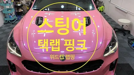 남자는 핑크..맞죠?! 스팅어 택랩 와일드 헤더 핑크 풀 랩핑(택랩 DS05G)부산 경남 창원 김해 녹산 다대포 하단 명지 랩핑 썬팅 PPF 맛집 위드랩 / 부산 강서 신호동