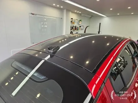스팅어는 카본 PPF 못 참지! 명지 PPF 맛집 위드랩 / 부산 강서 신호동