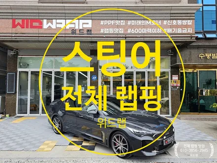 싹 다~ 갈아엎은 스팅어 전체랩핑(AX 랩핑, AX 볼케이노 그레이 메탈릭, STEK 카본 PPF)부산 강서구 사하구 랩핑 PPF 맛집 위드랩 / 부산 강서구, 김해, 창원