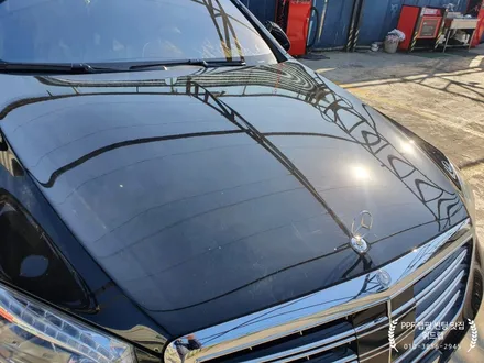 차는 벤츠 S500 마이바흐! 새차 만들기(판금도장, 부분도장, PPF제거, 광택) / 부산 강서구, 김해, 창원