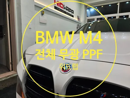 중고차도 전체 PPF 해야할까요? / 부산 강서 신호동