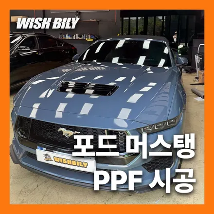 보닛 휀다 본넷 PPF 생활보호 생보 가성비 시공 / 경기 평택