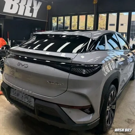 BYD PPF 씨라이언7 위시빌리랩 후기 / 경기 평택