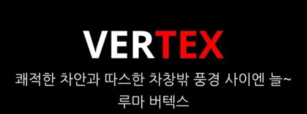 카니발 신차썬팅버텍스 900 루마버텍스수유점에서 강북 수유 미아 창동 노원 도봉 월곡 삼양동 우이 인수 가오리썬팅전문샵 / 서울 강북구 수유동