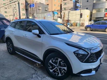 기아자동차 스포티지 반반사썬팅 메이튼 사이드스텝장착 신차패키지 신차썬팅 루마버텍스수유점 강북 노원 우이동 인수동 수유동 쌍문 가오리 419 수입차 신차 중고차썬팅전문샵 / 서울 강북구 수유동
