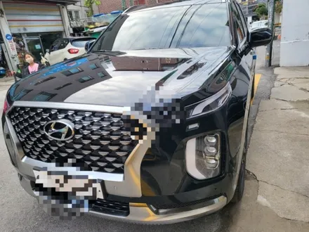 팰리세이드 루마버텍스900수유점 강북 도봉창동 미아 쌍문 노원 썬팅전문샵 / 서울 강북구 수유동