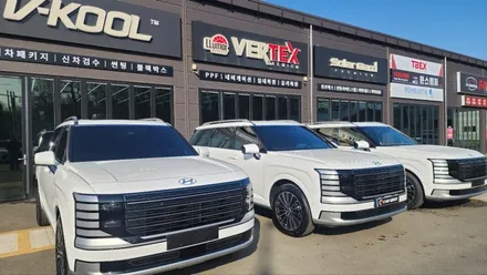 광주 썬팅 디올 뉴 팰리세이드 버텍스1100 vs 브이쿨VK 비교 및 추천 시공 후기 / 광주 광산구 수완동