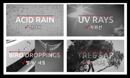광주솔라가드 환경규제넘어선 경쟁률 유리막코팅 얹어주기까지 k모터스 / 광주 광산구 수완동