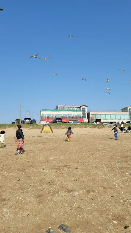 아지트 식구들과 궁평항으로 카크닉 다녀 왔습니다. 아이캠퍼 스카이캠프 2.0 , 아이캠퍼 미니 루프탑텐트 출동. / 용인시 기흥구