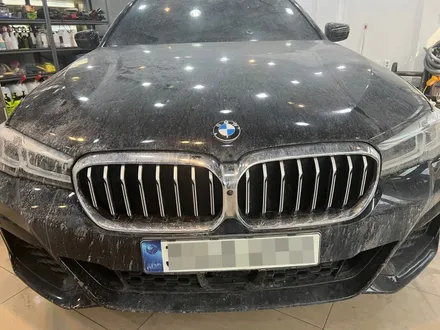스타일게러지 [BMW 530i ] 공구리가 쏟아진 비엠 광택으로 살려내보자 / 서울 양천, 구로, 강서, 영등포, 부천