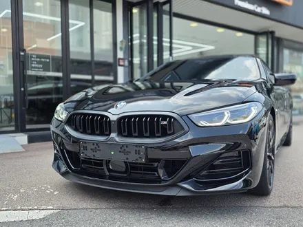 일산 PPF는 SW게러지 - BMW 8시리즈 블랙 PPF / 고양,일산,김포