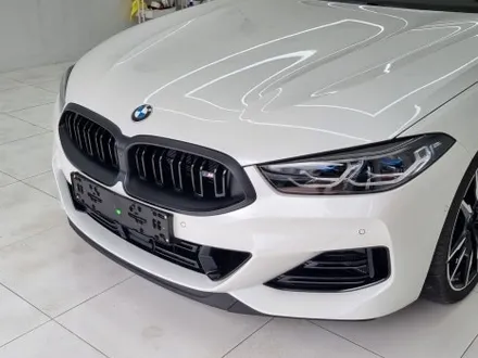 일산 PPF는 SW게러지 - BMW 8시리즈 블랙 PPF / 고양,일산,김포