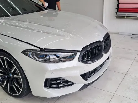 일산 PPF는 SW게러지 - BMW 8시리즈 블랙 PPF / 고양,일산,김포